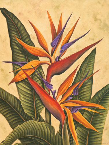 JAHRRIESNGE Floral of bird of paradise flower lpf04605