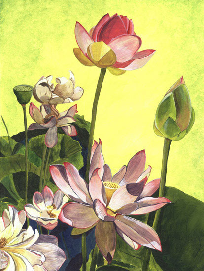 JAHRRIESNGE Floral of flowers lpf08104 
